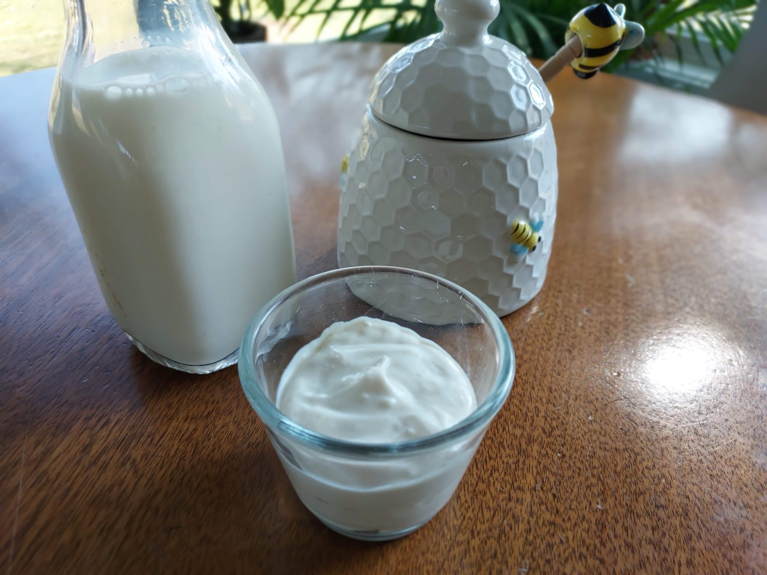 Homemade Creamy Yogurt Recipe