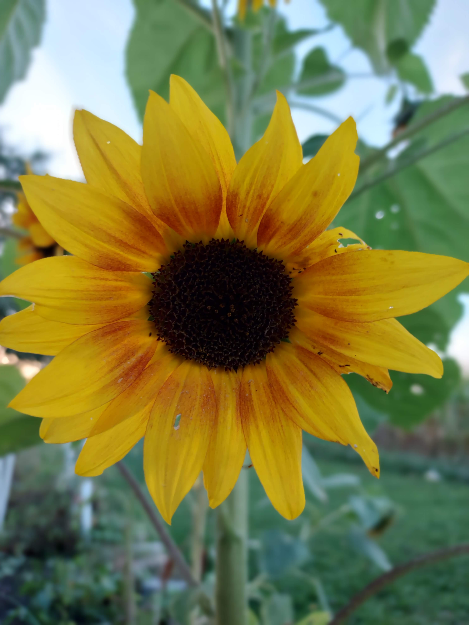 Thursday Thoughts: The Cleanup Has Begun