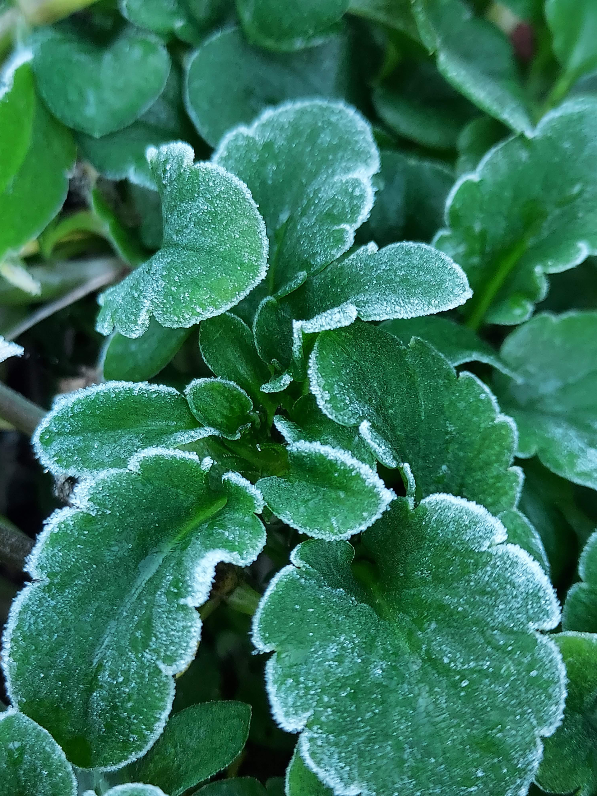 It Never Looks Like The Picture